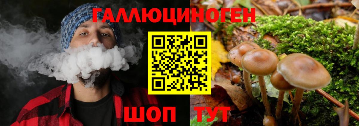 Галлюциногенные грибы ЛСД Трёхгорный