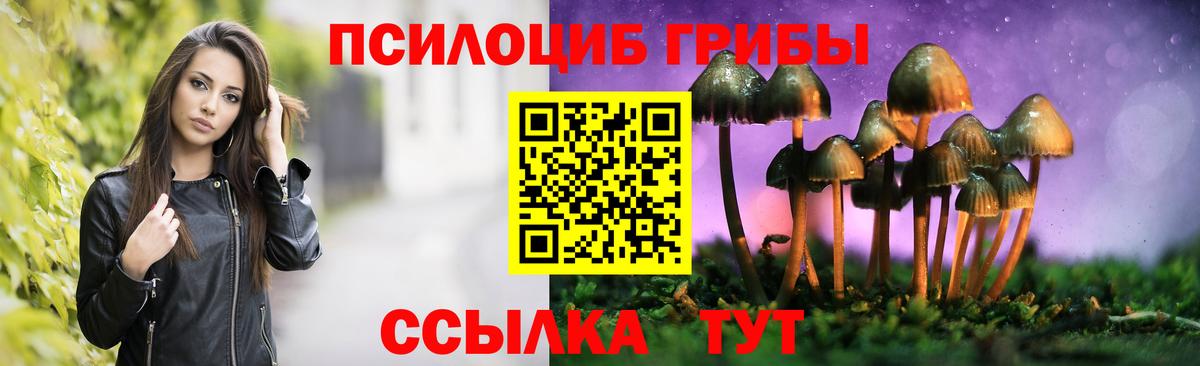 Трёхгорный  купить закладку  Вход с VPN  Псилоцибиновые грибы Cubensis 